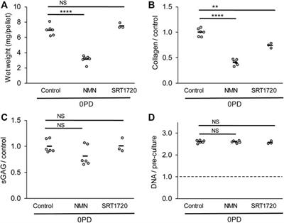 Modulation of sirtuins during monolayer chondrocyte culture influences cartilage regeneration upon transfer to a 3D culture environment